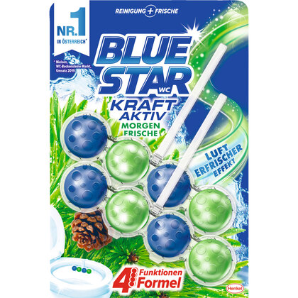 Blue Star Kraft Aktiv Morgenfrische VP WC Reiniger 2er