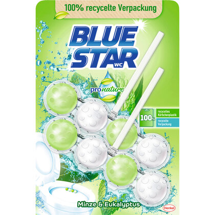 Blue Star Kraft Aktiv Pro Nature Minze VP WC Reiniger 2er